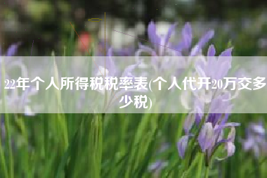 22年个人所得税税率表(个人代开20万交多少税)