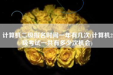计算机二级报名时间一年有几次(计算机2级考试一共有多少次机会)