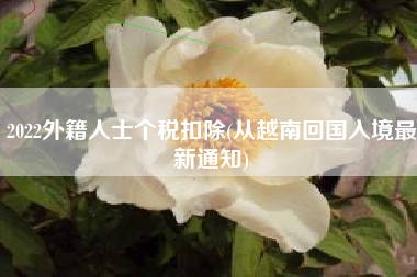 2022外籍人士个税扣除(从越南回国入境最新通知)