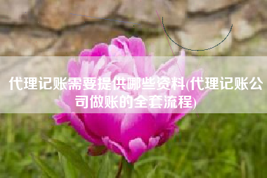 代理记账需要提供哪些资料(代理记账公司做账的全套流程)