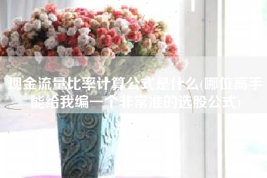 现金流量比率计算公式是什么(哪位高手能给我编一个非常准的选股公式)