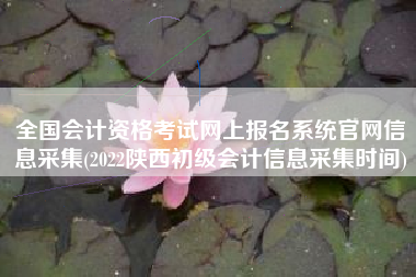 全国会计资格考试网上报名系统官网信息采集(2022陕西初级会计信息采集时间)