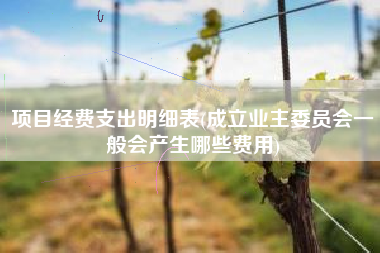 项目经费支出明细表(成立业主委员会一般会产生哪些费用)