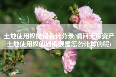 土地使用权摊销会计分录(请问无形资产土地使用权的摊销额是怎么计算的呢)