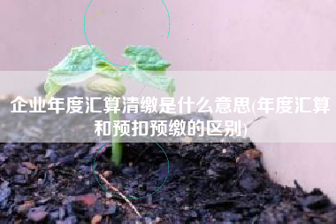 企业年度汇算清缴是什么意思(年度汇算和预扣预缴的区别)