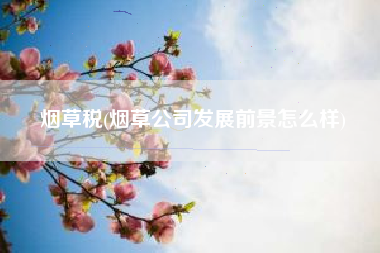 烟草税(烟草公司发展前景怎么样)