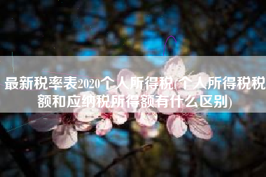 详细阅读:最新税率表2020个人所得税(个人所得税税额和应纳税所得额有什么区别) 最新税率表2020个人所得税(个人所得税税额和应纳税所得额有什么区别)