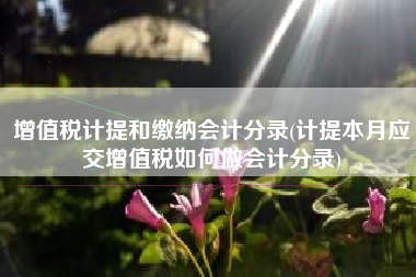 增值税计提和缴纳会计分录(计提本月应交增值税如何做会计分录)
