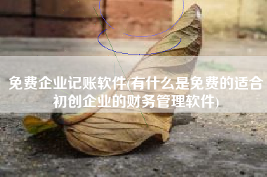免费企业记账软件(有什么是免费的适合初创企业的财务管理软件)