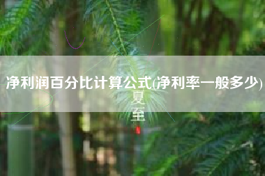 详细阅读:净利润百分比计算公式(净利率一般多少) 净利润百分比计算公式(净利率一般多少)