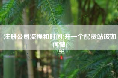 详细阅读:注册公司流程和时间(开一个配货站该如何做) 注册公司流程和时间(开一个配货站该如何做)