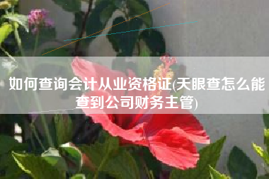 详细阅读:如何查询会计从业资格证(天眼查怎么能查到公司财务主管) 如何查询会计从业资格证(天眼查怎么能查到公司财务主管)