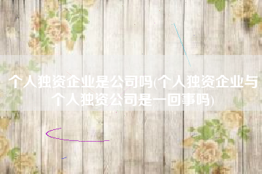 个人独资企业是公司吗(个人独资企业与个人独资公司是一回事吗)