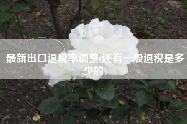 最新出口退税率调整(还有一般退税是多少的)
