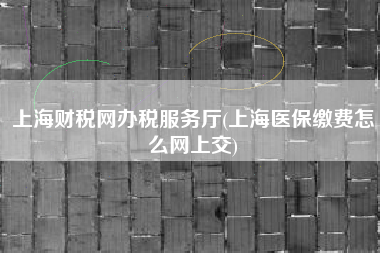 上海财税网办税服务厅(上海医保缴费怎么网上交)