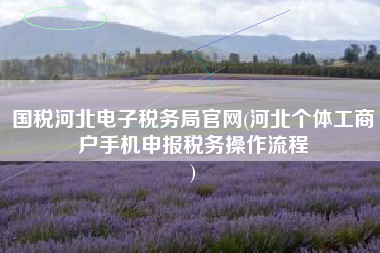 国税河北电子税务局官网(河北个体工商户手机申报税务操作流程
)