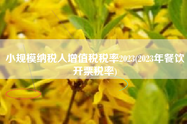 小规模纳税人增值税税率2023(2023年餐饮开票税率)