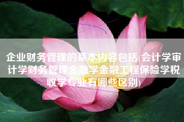 企业财务管理的基本内容包括(会计学审计学财务管理金融学金融工程保险学税收学专业有哪些区别)