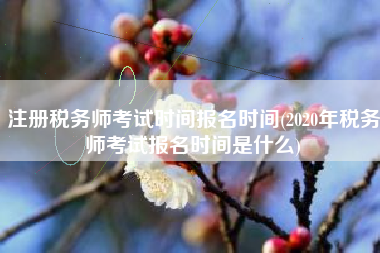 注册税务师考试时间报名时间(2020年税务师考试报名时间是什么)