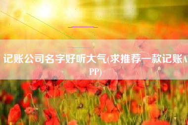 记账公司名字好听大气(求推荐一款记账APP)