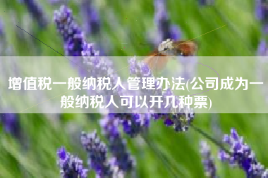 增值税一般纳税人管理办法(公司成为一般纳税人可以开几种票)