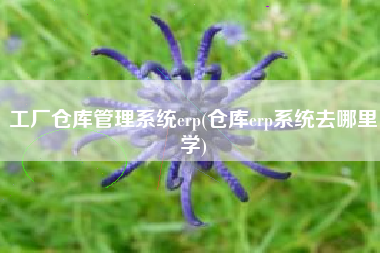 工厂仓库管理系统erp(仓库erp系统去哪里学)