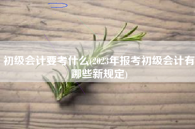 详细阅读:初级会计要考什么(2023年报考初级会计有哪些新规定) 初级会计要考什么(2023年报考初级会计有哪些新规定)