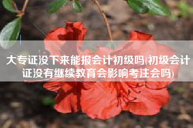 详细阅读:大专证没下来能报会计初级吗(初级会计证没有继续教育会影响考注会吗) 大专证没下来能报会计初级吗(初级会计证没有继续教育会影响考注会吗)