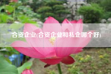 详细阅读:合资企业(合资企业和私企哪个好) 合资企业(合资企业和私企哪个好)