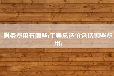 财务费用有哪些(工程总造价包括哪些费用)
