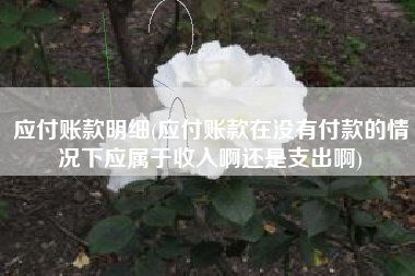 应付账款明细(应付账款在没有付款的情况下应属于收入啊还是支出啊)