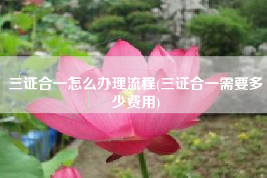 三证合一怎么办理流程(三证合一需要多少费用)