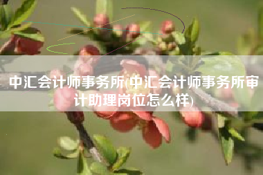 中汇会计师事务所(中汇会计师事务所审计助理岗位怎么样)