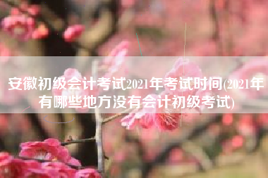 安徽初级会计考试2021年考试时间(2021年有哪些地方没有会计初级考试)
