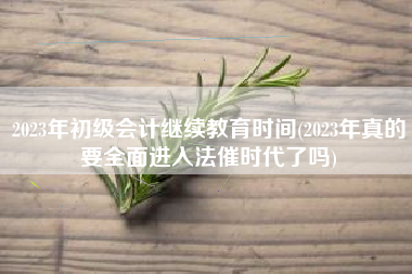 2023年初级会计继续教育时间(2023年真的要全面进入法催时代了吗)