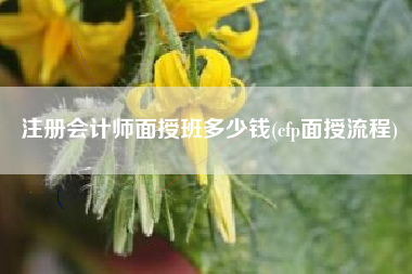 注册会计师面授班多少钱(cfp面授流程)