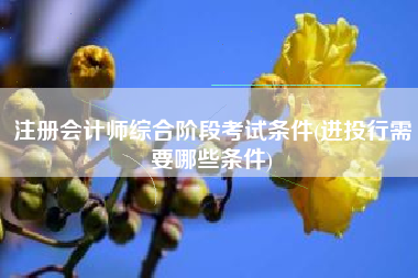 注册会计师综合阶段考试条件(进投行需要哪些条件)