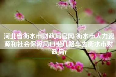 河北省衡水市财政局官网(衡水市人力资源和社会保障局口坐几路车去衡水市财政局)