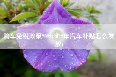 购车免税政策2022(2022年汽车补贴怎么发放)