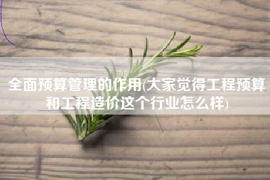 全面预算管理的作用(大家觉得工程预算和工程造价这个行业怎么样)