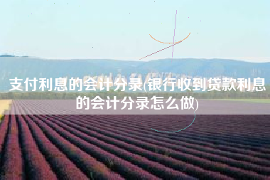 支付利息的会计分录(银行收到贷款利息的会计分录怎么做)