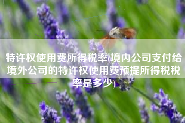 特许权使用费所得税率(境内公司支付给境外公司的特许权使用费预提所得税税率是多少)