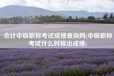 会计中级职称考试成绩查询网(中级职称考试什么时候出成绩)