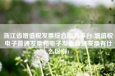 浙江省增值税发票综合服务平台(增值税电子普通发票和电子发票普通发票有什么区别)