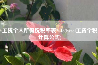 工资个人所得税税率表2018(Excel工资个税计算公式)