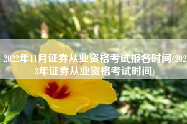 2022年11月证券从业资格考试报名时间(2023年证券从业资格考试时间)