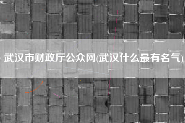 武汉市财政厅公众网(武汉什么最有名气)