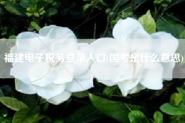 福建电子税务登录入口(国考是什么意思)