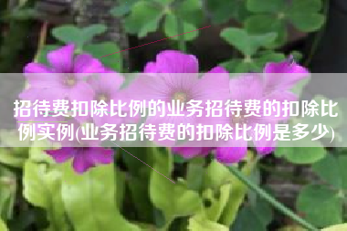 招待费扣除比例的业务招待费的扣除比例实例(业务招待费的扣除比例是多少)