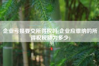 企业亏损要交所得税吗(企业应缴纳的所得税税额为多少)